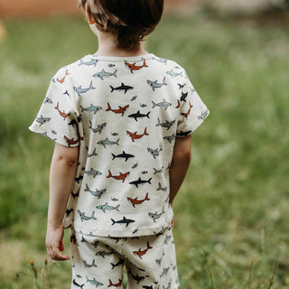 Köpekbalığı Kısa Kollu Pijama Takımı